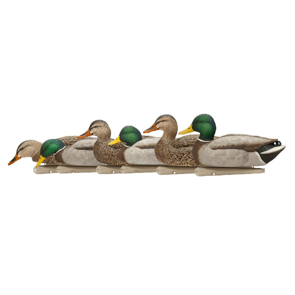 AVIAN Duck Decoys AVIAN Avian-X Top Flight Fusion Pack - Mallard 6/ct
