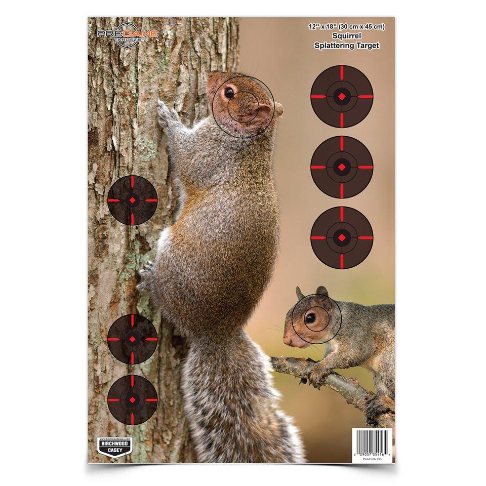 Birchwood Casey Paper Targets Birchwood Casey Birchwood Casey Pregame Target - 12"x18" Squirrel 8 Pack