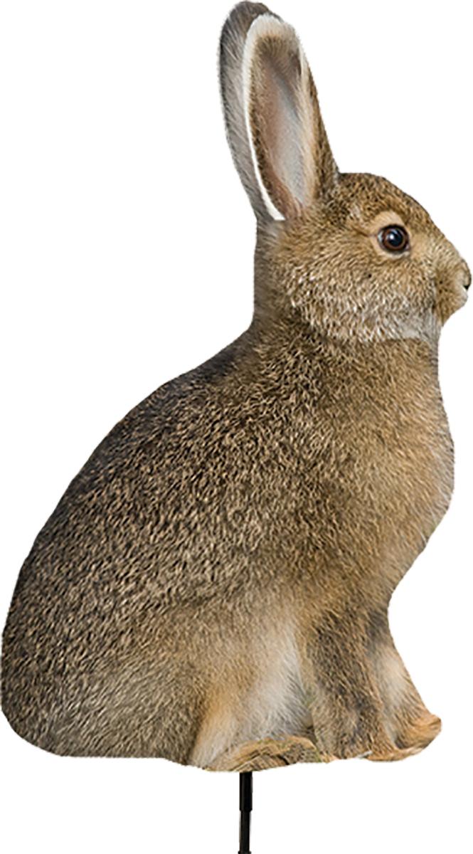 Montana Decoy Co. Predator Decoys Montana Decoy Co. Montana Decoy Co Miss Hoptober Decoy