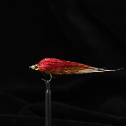 Ice Silk Fish Predatory Fish Have A Graceful Swim