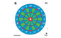 ALLEN EZAIM 12"X12" PLNKNG TRGT 9PK