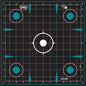 Allen Shooting|Paper Targets Allen Girls with Guns Splash Adhesive Sight Grid Targets 12x12 - 5/ct