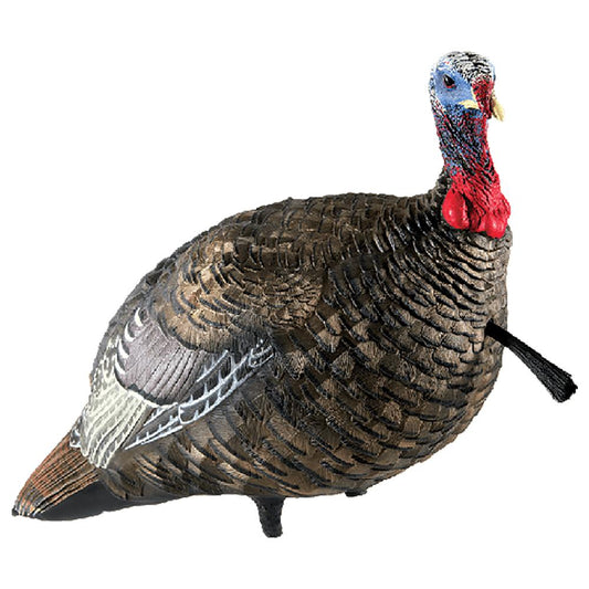 AVIAN Turkey Decoys AVIAN Avian-X LCD Quarter-Strut Jake Turkey Decoy