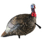 AVIAN Turkey Decoys AVIAN Avian-X LCD Quarter-Strut Jake Turkey Decoy