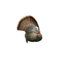 AVIAN Turkey Decoys AVIAN Avian-X LCD Strutter Turkey Decoy