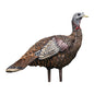 AVIAN Turkey Decoys AVIAN Avian-X LCD Lookout Hen Turkey Decoy