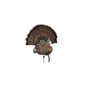 AVIAN Turkey Decoys AVIAN Avian-X Trophy Tom Turkey Decoy