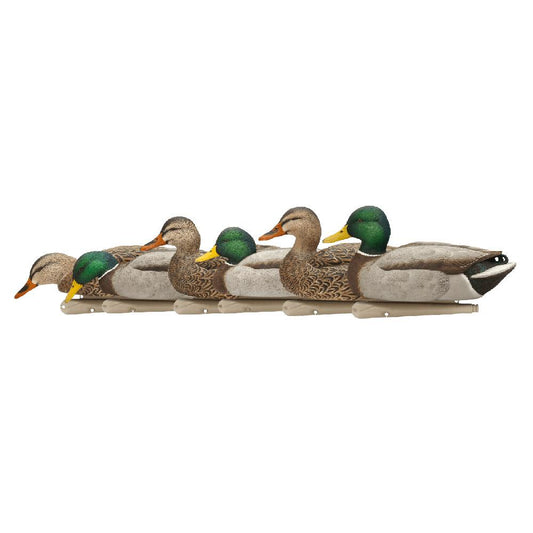 AVIAN Duck Decoys AVIAN Avian-X Top Flight Fusion Pack - Mallard 6/ct