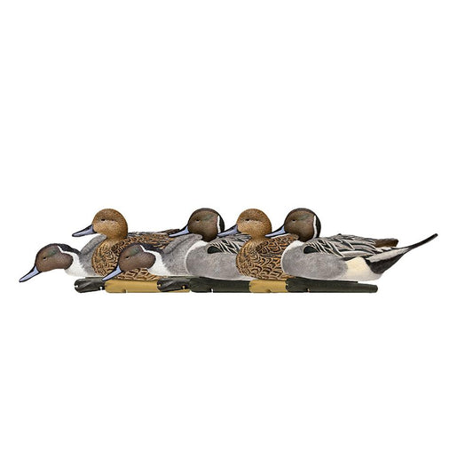 AVIAN Duck Decoys AVIAN Avian-X Topflight Pintails Duck Decoys 6/ct