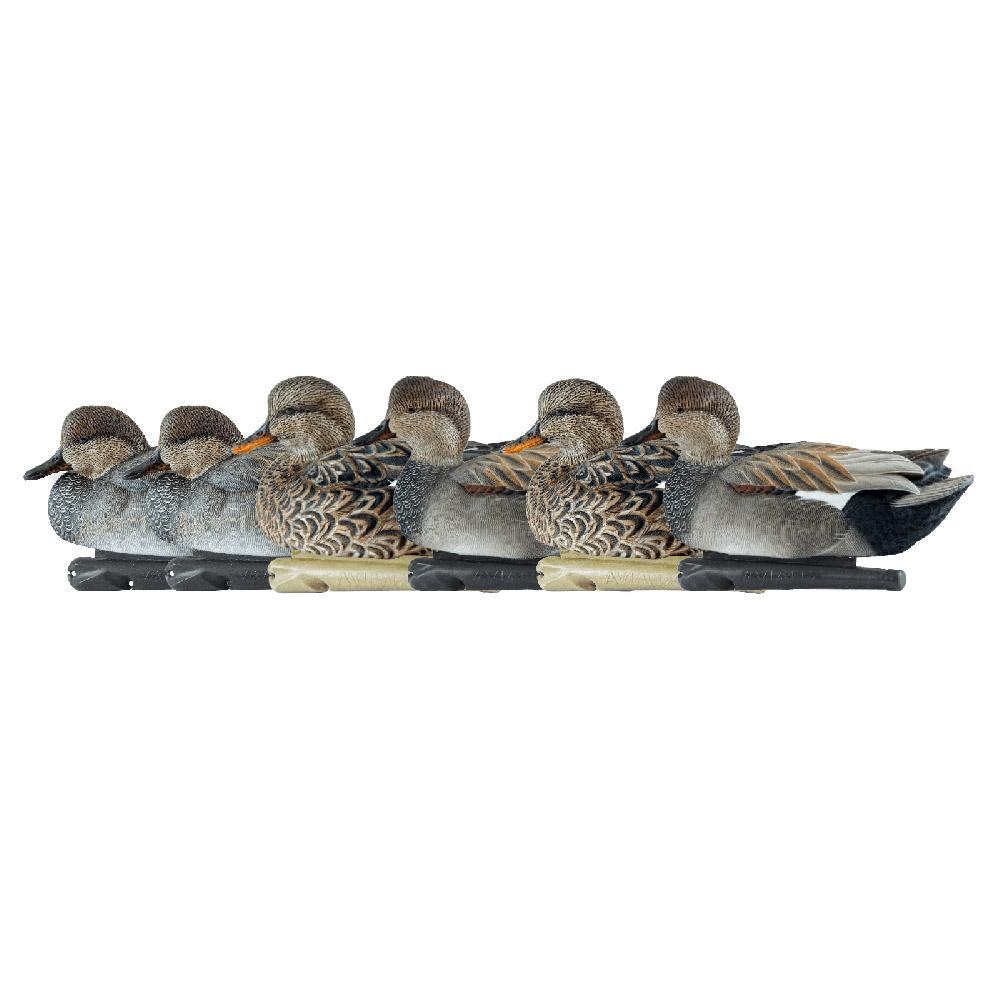 AVIAN Duck Decoys AVIAN Avian-X Top Flight Decoys Gadwall 6/ct