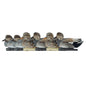 AVIAN Duck Decoys AVIAN Avian-X Top Flight Decoys Gadwall 6/ct