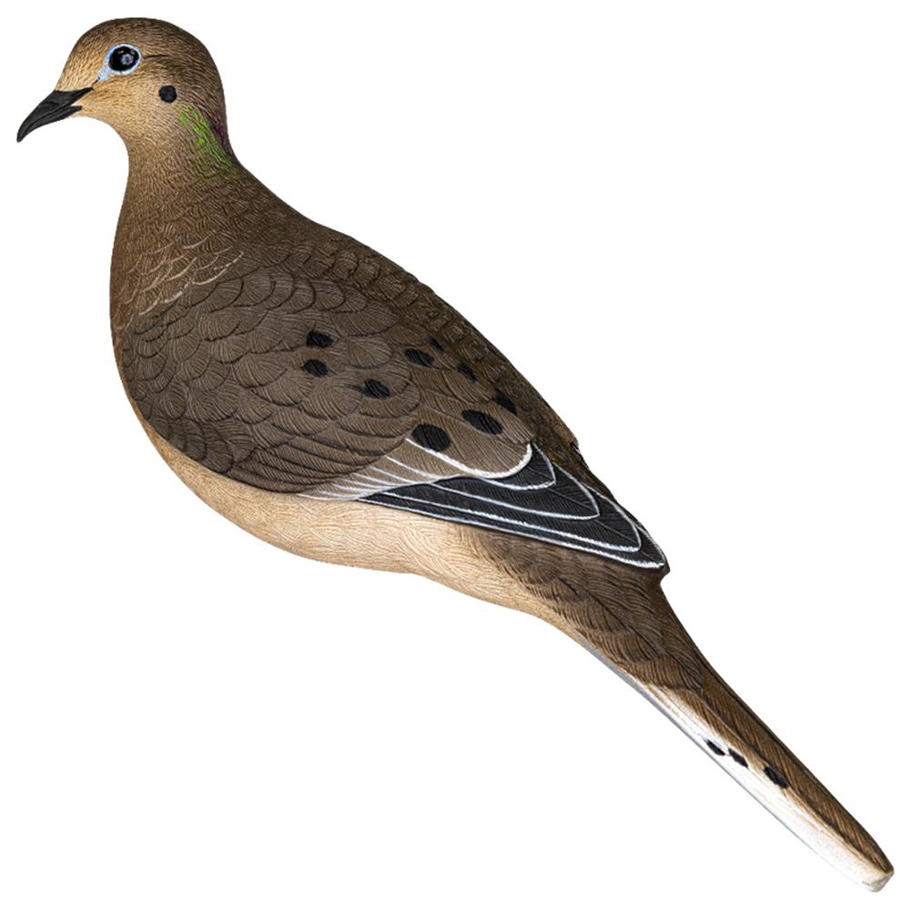 AVIAN Dove Decoys AVIAN Avian APX Full Body Dove Decoys 6/ct