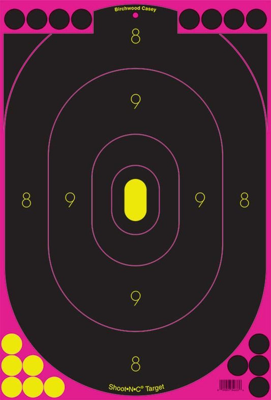 Birchwood Casey Paper Targets Birchwood Casey Birchwood Casey Shoot-N-C Pink Reactive Targets 12"x18" 5/Pack