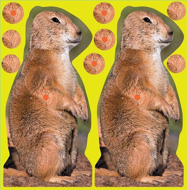 Birchwood Casey Paper Targets Birchwood Casey Birchwood Casey Shoot-N-C Prairie Chuck Target - 8" 12 /Pack