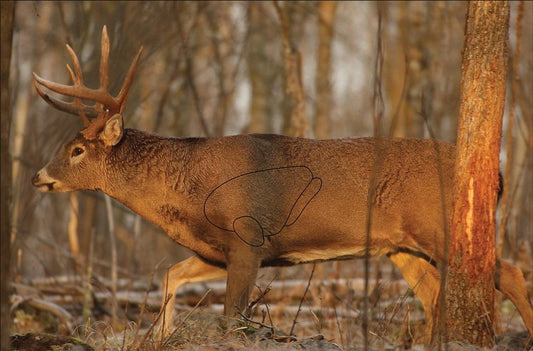 Birchwood Casey Paper Targets Birchwood Casey Birchwood Casey Eze-Scorer Targets Whitetail Deer Target 23"x35" 2/Pack