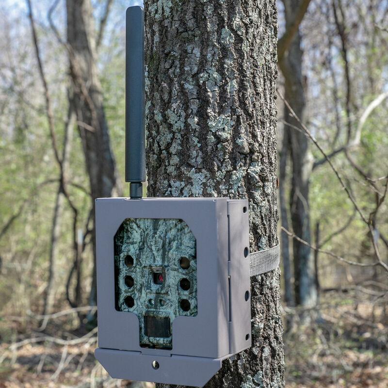 Bushnell Trail Camera Accessories Bushnell Camera Security Box For (Cellular) CelluCore Models SD - Tan