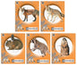 Champion Paper Targets Champion Critter Series Targets - 11" X 14" 10/Pack