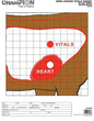Champion Paper Targets Champion Animal Paper Targets Deer Vitals 12/Pack