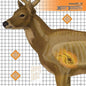 Champion Paper Targets Champion X-Ray Paper Target - Deer Target 25"x25" (6-Pack)
