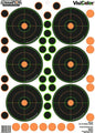 Champion Shooting|Paper Targets Champion 25 YD SM BORE 5PK With 90 PASTORS