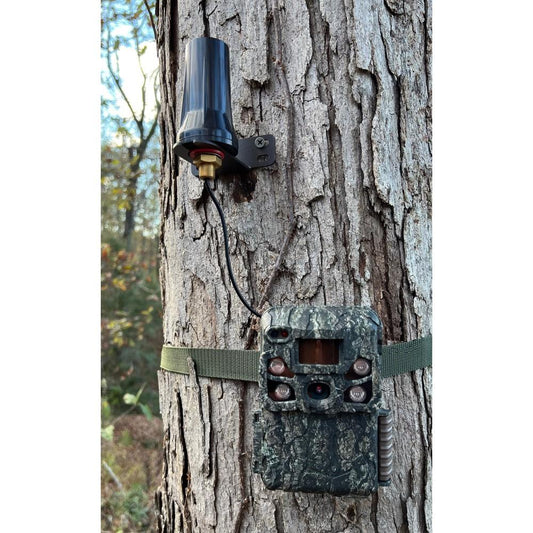 Browning Camera Trail Camera Accessories Browning Camera Browning Trail Camera LRA External Cellular Long Range Antenna