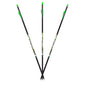 Feradyne Outdoors Arrows Feradyne Outdoors Carbon Express D-Stroyer Piledriver Arrows 400 Spines 6 Pack Fletched