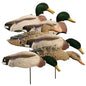 Higdon Outdoors Duck Decoys Higdon Outdoors Higdon Outdoors Magnum Full Form Shell Mallard Variety Packk - Flocked Heads