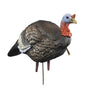 Higdon Outdoors Turkey Decoys Higdon Outdoors Higdon Outdoors Hard Body 1/4 Strut Jake