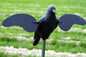Huntwise dba MOJO Outdoors Dove Decoys Huntwise dba MOJO Outdoors MOJO Motion Decoy Crow Decoy