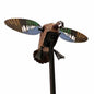 Huntwise dba MOJO Outdoors Duck Decoys Huntwise dba MOJO Outdoors MOJO Elite Series Spinning Wing Decoy - Blue Wing Teal