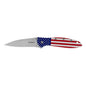 Kershaw Knives Knives Kershaw Knives Kershaw Leek Folding Knife 3" Drop Point Blade USA Flag