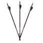 Feradyne Outdoors Arrows Feradyne Outdoors Carbon Express Maxima Sable RZ 350 Hunting Arrows - 12/pk