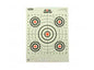CHAMPION 100YD RFL SIGHT-IN TRGT 12P