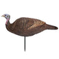 Primos Turkey Decoys Primos Primos Lil Gobstopper Hen Decoy