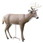 Primos Big Game Decoys Primos Primos Scarface Deer Decoy