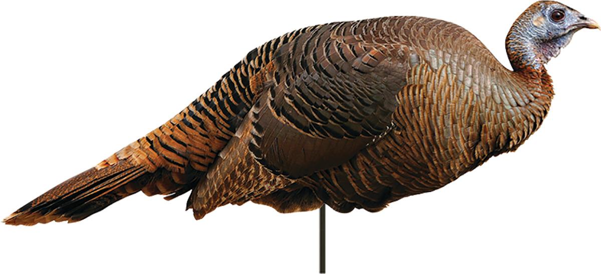 Montana Decoy Co. Turkey Decoys Montana Decoy Co. Montana Decoy Co Spring Fling Hen Decoy