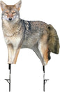Montana Decoy Co. Predator Decoys Montana Decoy Co. Montana Decoy Co Song Dog Coyote Decoy