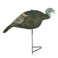 Rock Ridge Outdoors Turkey Decoys|Hunting Rock Ridge Outdoors The Grind Relaxed Feeding Hen Turkey Decoy