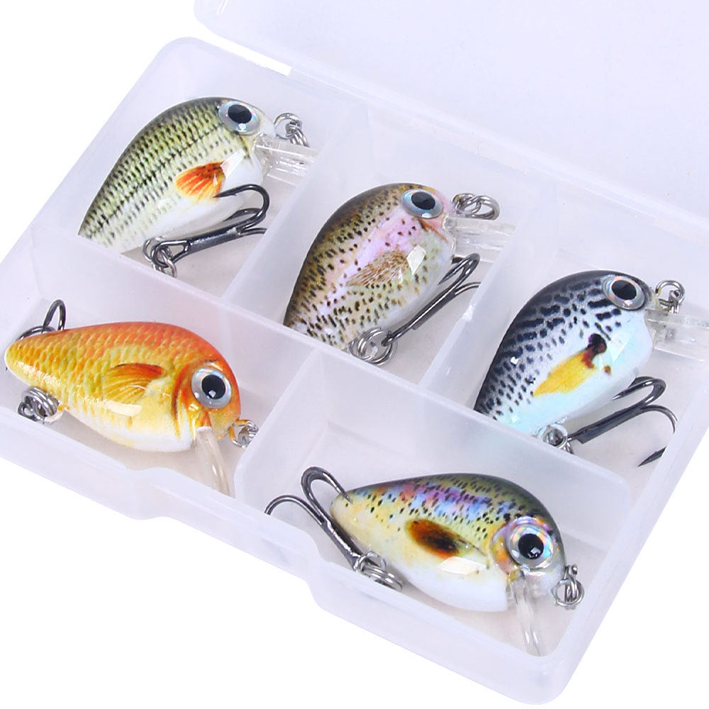 5 Color Lure Set 1.5G Mini Rock Lure Fishing Lure Box