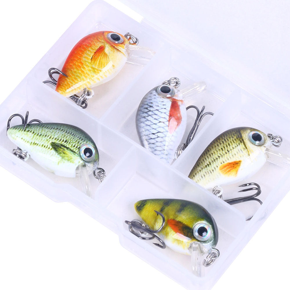 5 Color Lure Set 1.5G Mini Rock Lure Fishing Lure Box